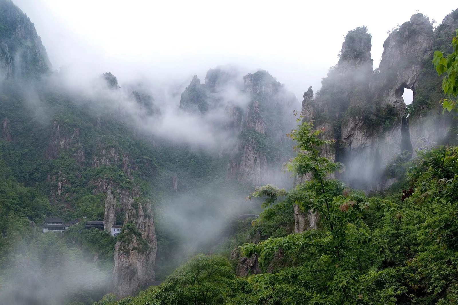 1688004439377174.jpg 平陽(yáng)南雁蕩山項(xiàng)目.jpg